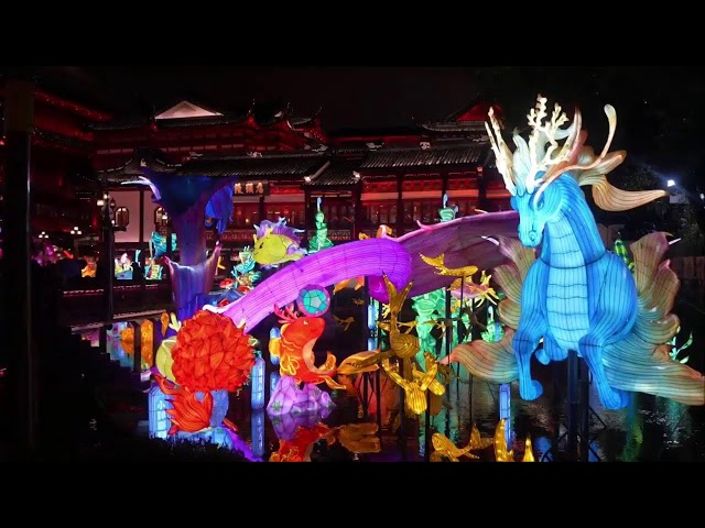 LIVE: Explore the amazing Shanghai Lantern Fair!