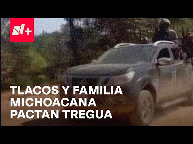 Familia Michoacana y Los Tlacos, sacerdote afirma que criminales pactaron tregua - En Punto