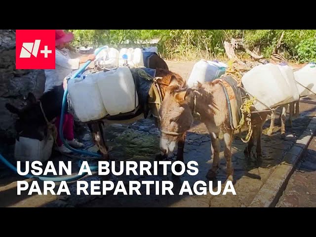 Burritos abastecen de agua en varias zonas de Xochimilco - En Punto