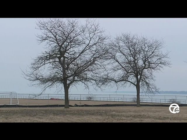 City of Detroit removing 251 trees from AB Ford Park after finding metal, plastic in soil