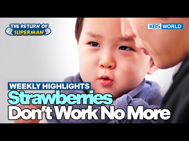 [Weekly Highlights] Best Son & Brother Award [The Return of Superman] | KBS WORLD TV 240218