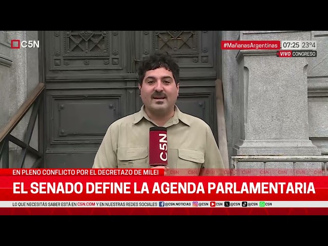 EL SENADO DEFINE la AGENDA PARLAMENTARIA en PLENO DECRETAZO de MILEI