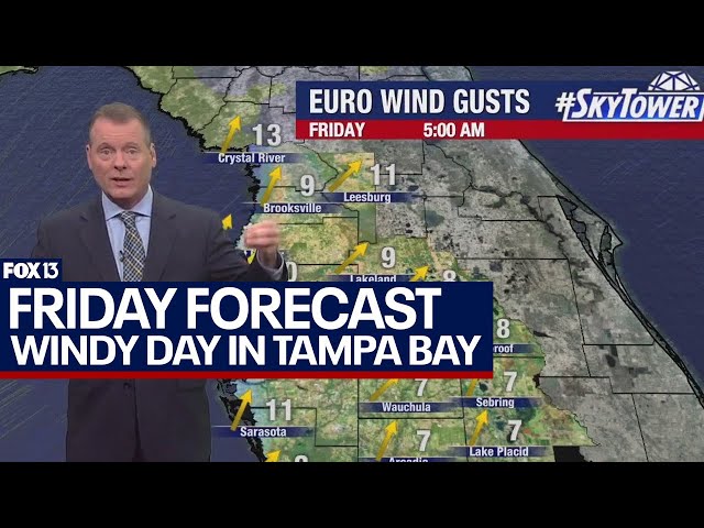 Tampa weather | windy, warmer day expected on Feb. 23, 2024