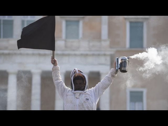 Athen: Imker protestieren gegen Importe von billigem Honig