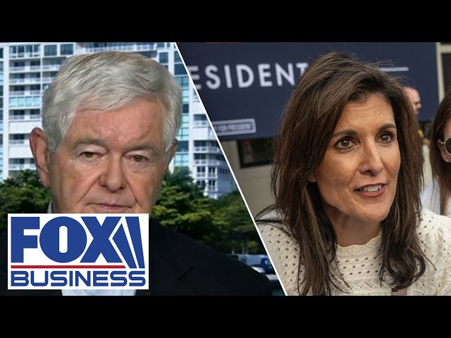 Newt Gingrich predicts Nikki Haley's fate as South Carolina primary looms