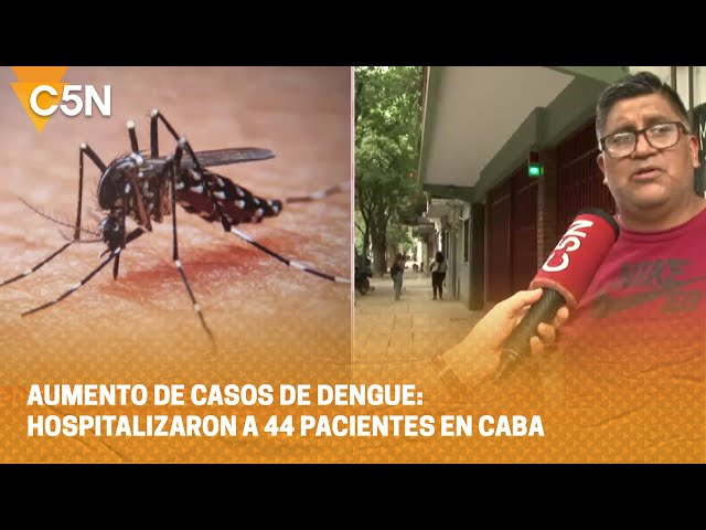 AUMENTO de CASOS de DENGUE: HOSPITALIZARON a 44 PACIENTES en CABA