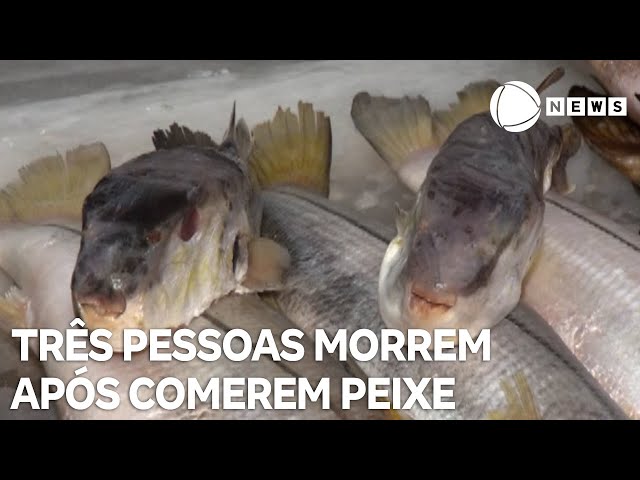 Três pessoas da mesma família morrem após comerem peixe