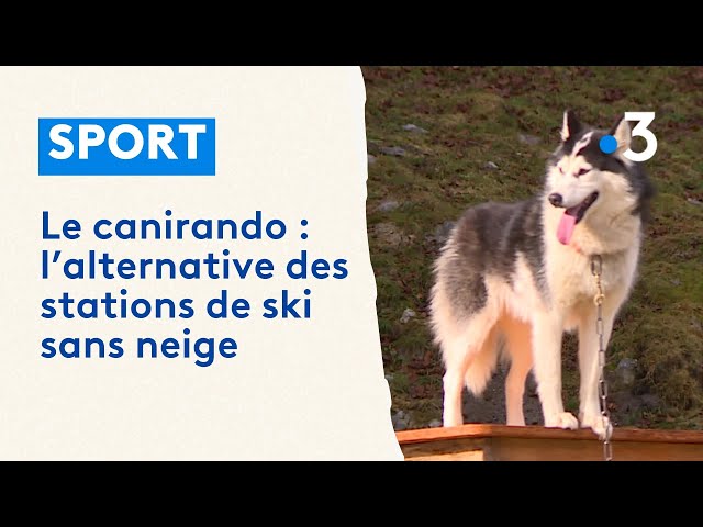 Les vacances malgré le manque de neige