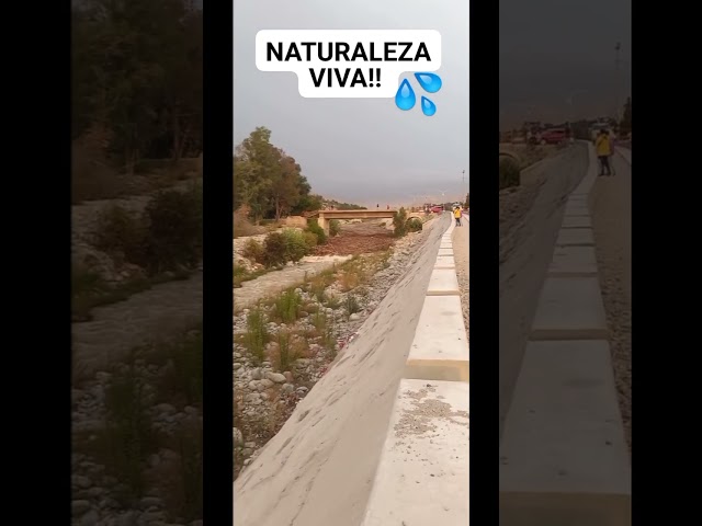 Captan el momento exacto de una creciente en una pequeña quebrada.