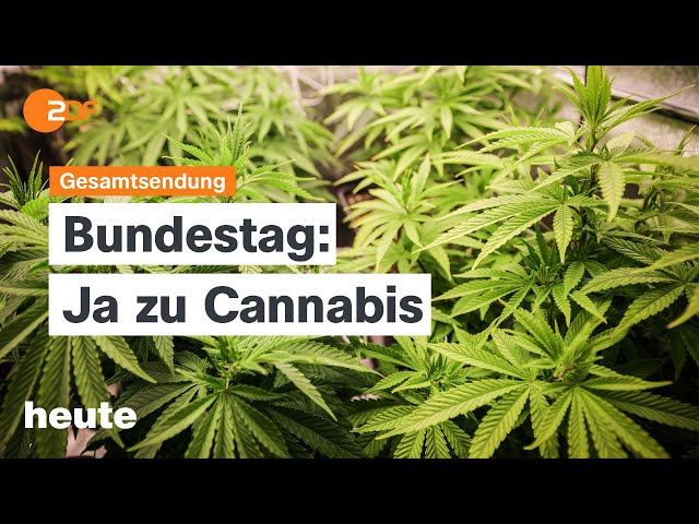 heute 19:00 Uhr vom 23.02.2024 Cannabis-Legalisierung, Zwei Jahre Ukrainekrieg, Mondlandung