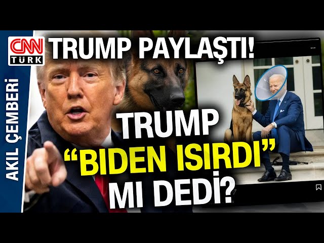 Biden'ın Köpeği 24 Gizli Servis Personelini Isırdı! Trump'tan Biden'a Göndermeli Payl