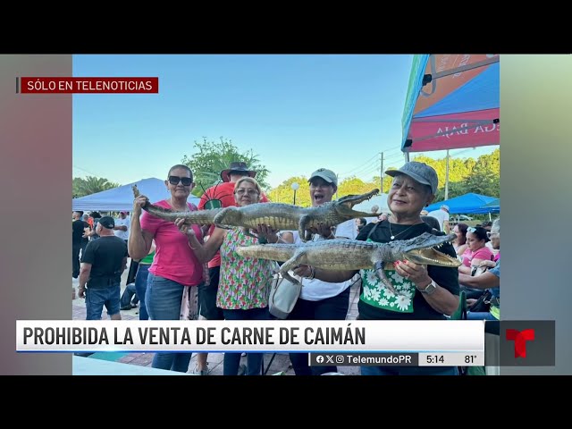 En alerta el Departamento de Salud por venta de carne de caimán