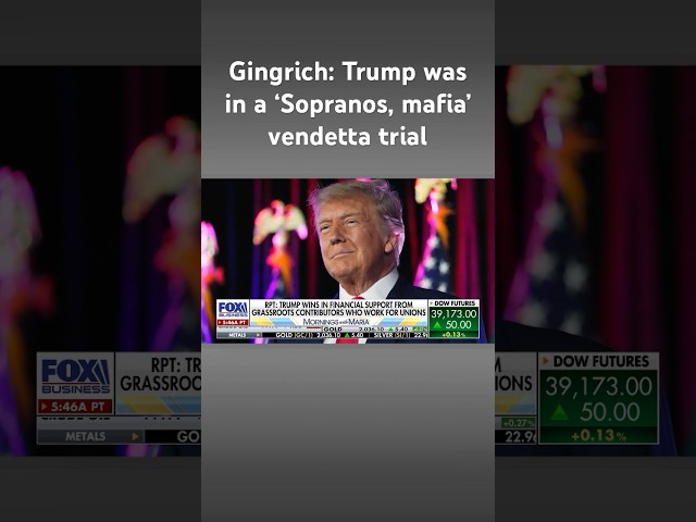 Trump was a victim of ‘financial assassination, Sopranos or mafia’ vendetta: Gingrich #shorts