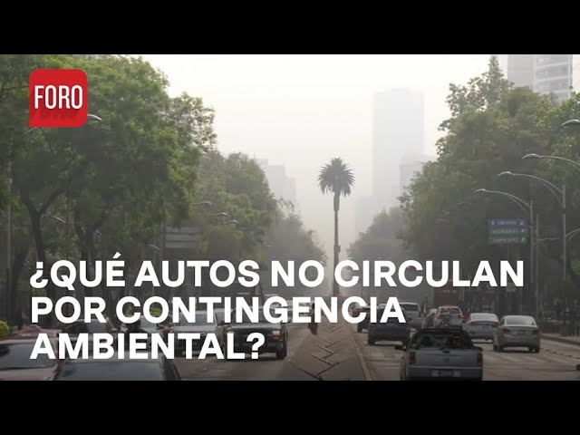 Contingencia ambiental; ¿Qué autos no circulan este sábado 24 de febrero del 2024? - Las Noticias