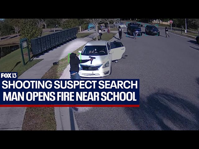 Shots fired near Spoto High School launches search for wanted man