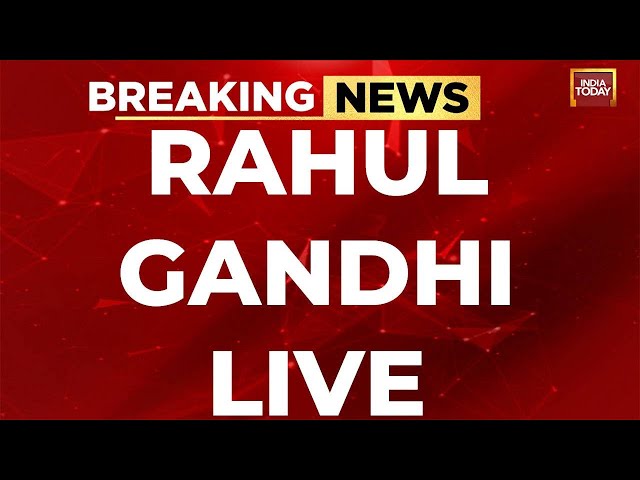 Rahul Gandhi LIVE:  Rahul Gandhi's Bharat Jodo Nyay Yatra LIVE In Uttar Pradesh | Congress LIVE