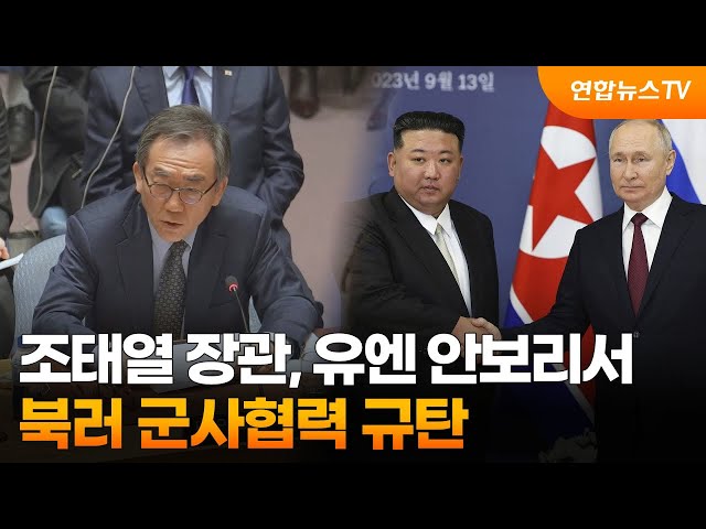 조태열 외교장관, 유엔 안보리서 북러 군사협력 규탄 / 연합뉴스TV (YonhapnewsTV)