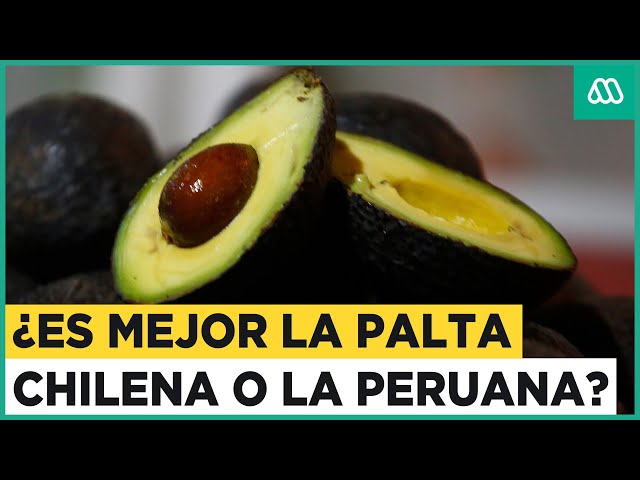 Palta chilena versus palta peruana: ¿Cuál es la mejor?