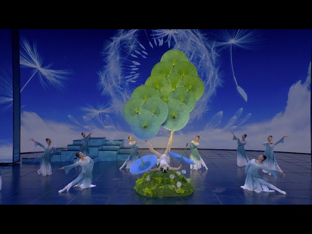 2024 Lantern Festival Gala: Acrobatic performance 'Dandelions in the Sky'