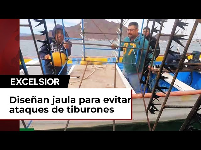 Construyen en Sonora jaula antitiburones para proteger a pescadores