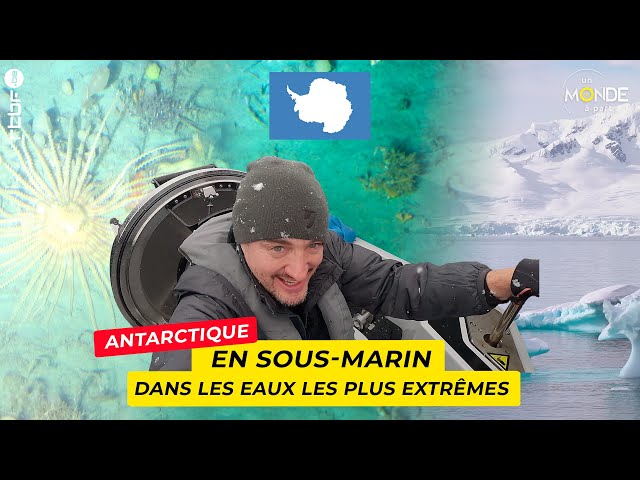 Antarctique : en sous-marin dans les eaux les plus extrêmes - Un Monde à part