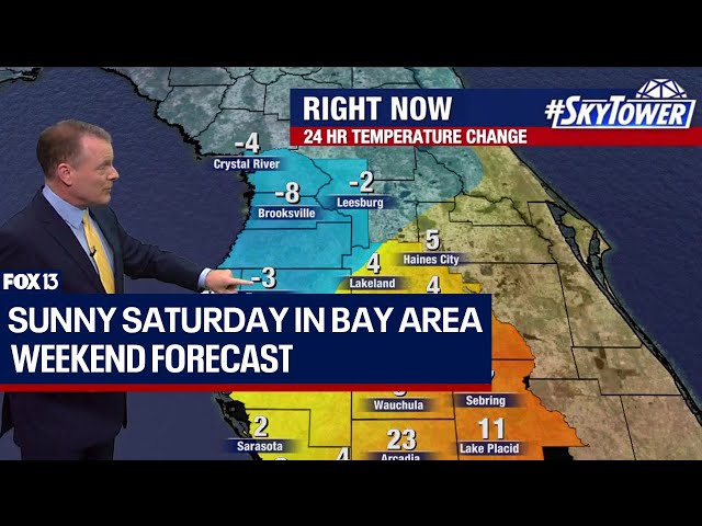 Tampa weather: Sunny in Bay Area on Feb. 24, 2024.