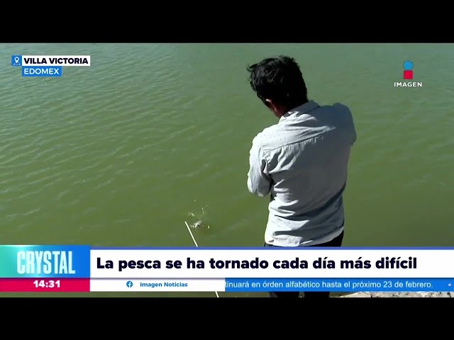 La pesca se ha tornado cada mes más difícil en la presa Villa Victoria | Noticias Crystal Mendivil