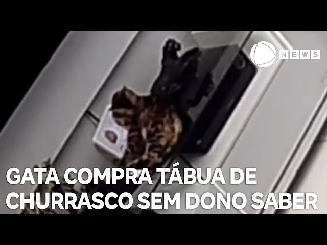 ⁣Gata compra tábua de churrasco de R$ 299 sem dono saber