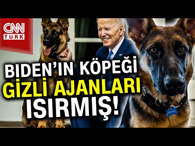 Biden'ın Köpeği Çok Can Yakmış! Saldırı Bilançosu Ortaya Çıktı #Haber