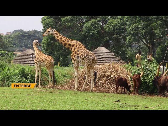 Wildlife conservation - Schools to be sensitised on new technologies