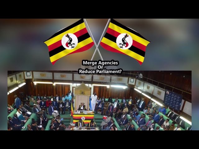 On public expenditure!- Which way, Uganda reduce parliament or merge agencies?