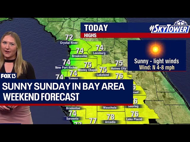 Tampa weather: Sunny, light winds in Bay Area