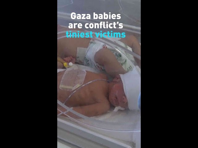 Gaza babies are conflict's tiniest victims