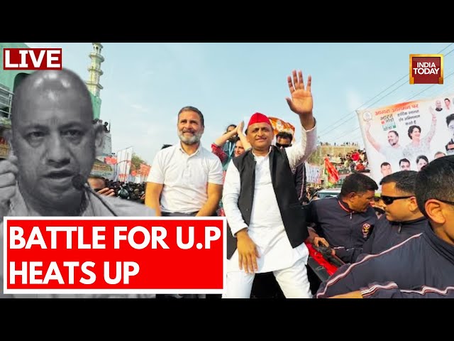 Congress-Samajwadi Party LIVE News: Uttar Pradesh' Battle Heats Up | Rahul Gandhi | Akhilesh Ya