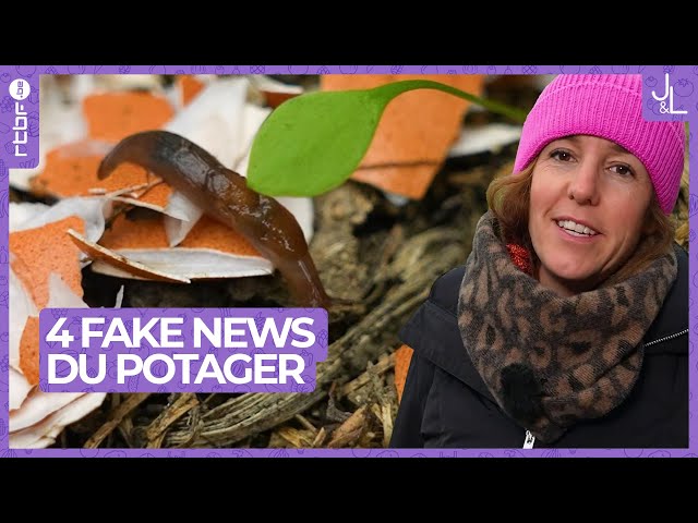 4 fake news du potager : on démêle le vrai du faux | Jardins et Loisirs