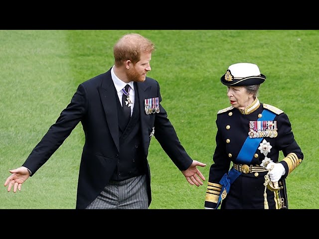 Princess Anne could be Prince Harry’s ‘only ally’ in the Royal Family