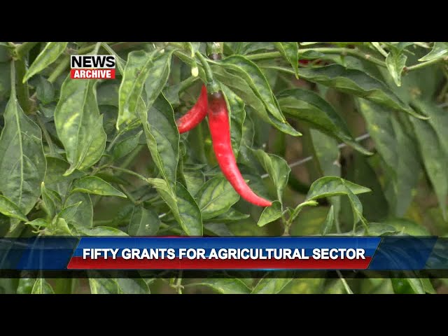 Fifty Grants For Agricultural Sector