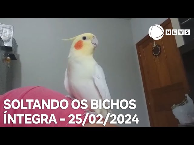 Soltando os Bichos - 25/02/2024