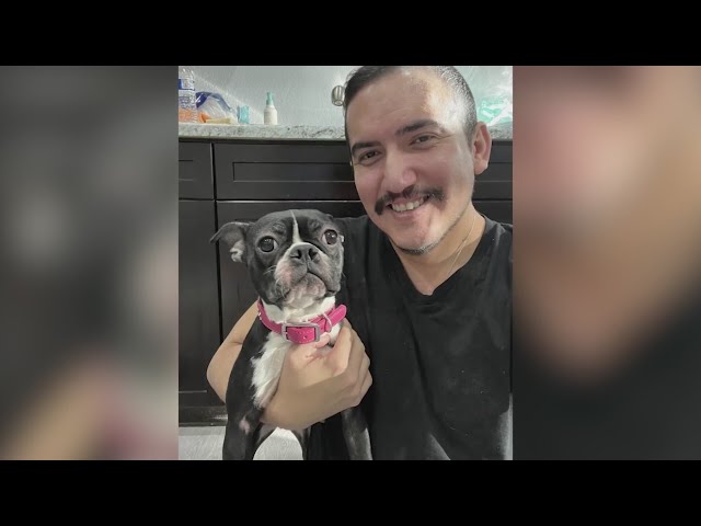 'It's like a dream': Denver man reunites with missing emotional support dog