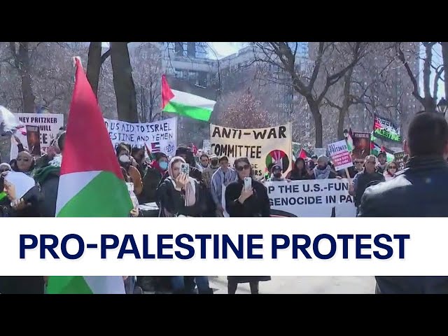 Pro-Palestine protesters gather in Chicago to demand ceasefire