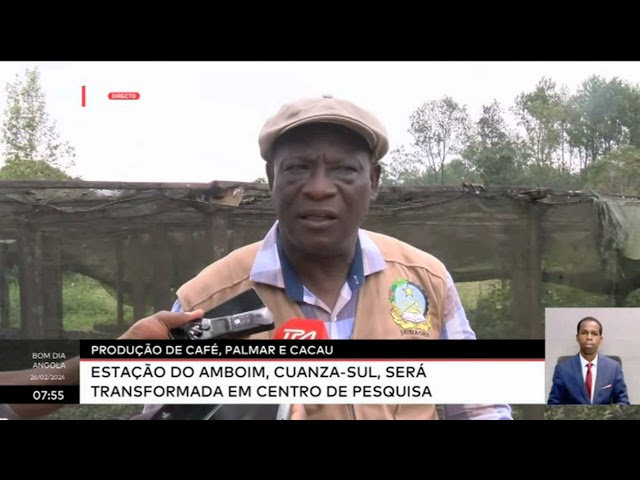 Produção de Café, Palmar e Cacau - Estação do Amboim, Cuanza Sul, será transformada em...