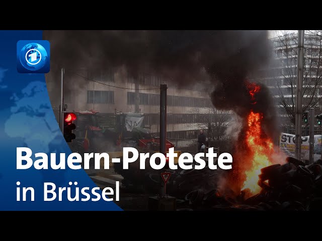 Landwirt:innen protestieren vor EU-Agrarministertreffen in Brüssel