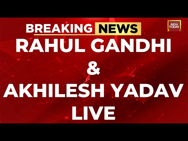 Rahul Gandhi LIVE With Akhilesh Yadav: Bharat Jodo Nyay Yatra LIVE In Uttar Pradesh | Congress LIVE