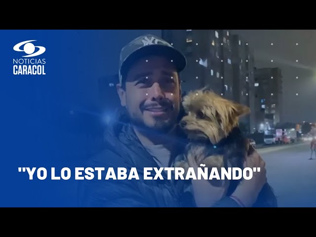 Emotivo reencuentro entre el perrito Vicente y su dueño en Bogotá