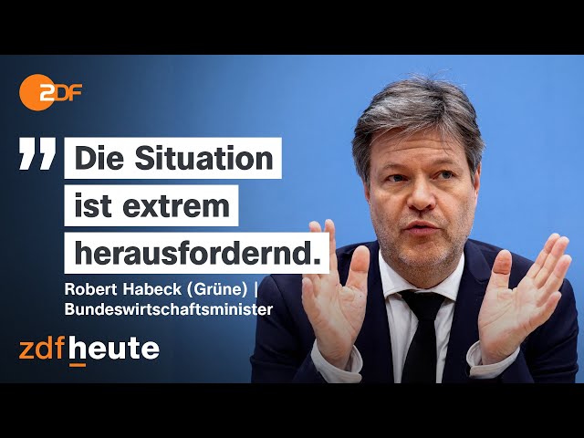 Rutscht Deutschlands Wirtschaft ab? Ampel streitet über den Weg aus der Krise | Berlin direkt