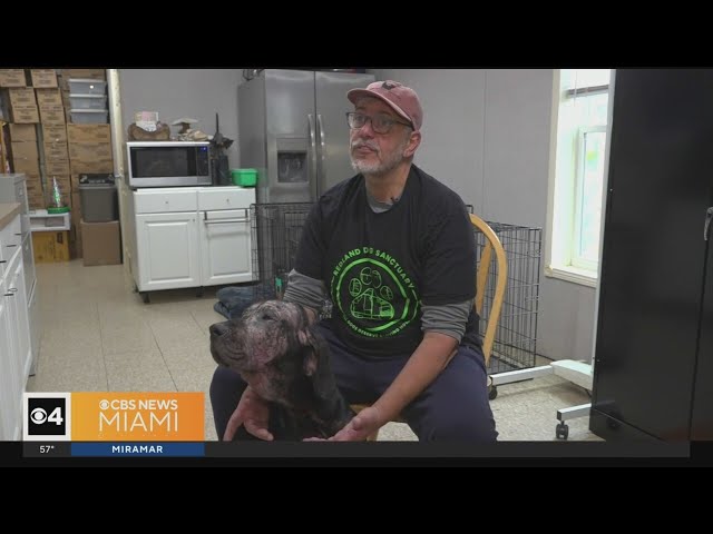 Redland man's mission is save as many stray, abandoned dogs as possible