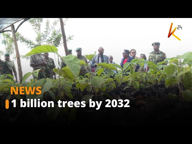 The ambitious effort by Kenya Prisons to plant 1 billion trees by 2032