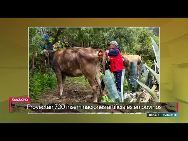 Ñuqanchik (26/02/2024) | TVPerú Noticias