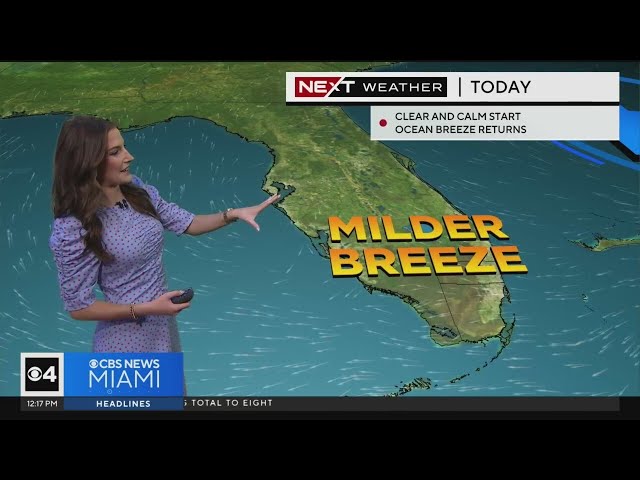 ⁣Miami Weather for Monday 2/26/2024 12PM