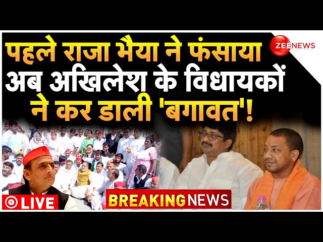 Rajya Sabha Elections 2024 Breaking News LIVE : अखिलेेश को लगा डबल झटका, विधायकों ने की बगावत?| BJP